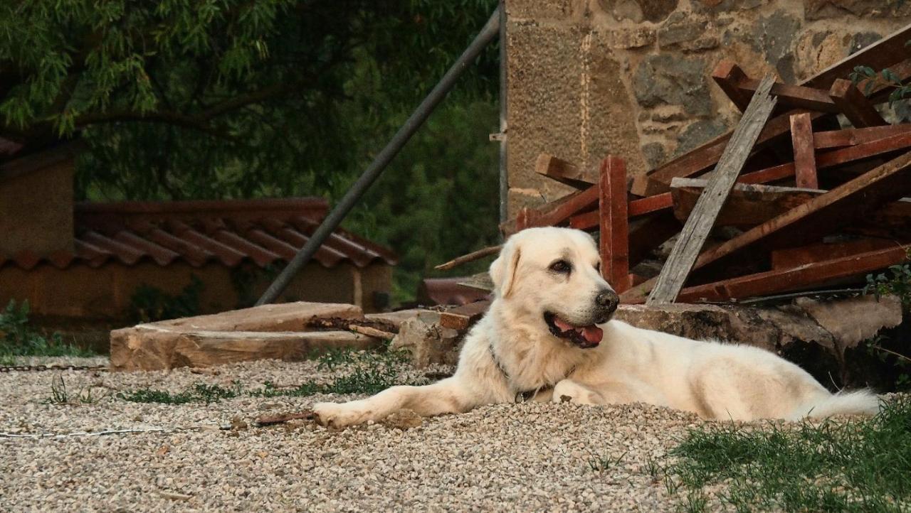 Masia La Clariana Castelltallat المظهر الخارجي الصورة